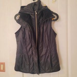 Vintage Lululemon glacier vest.